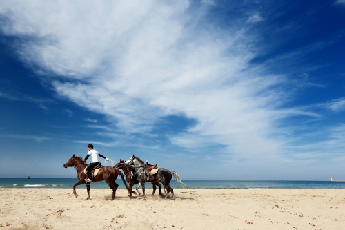 푸른 해변으로 썸네일