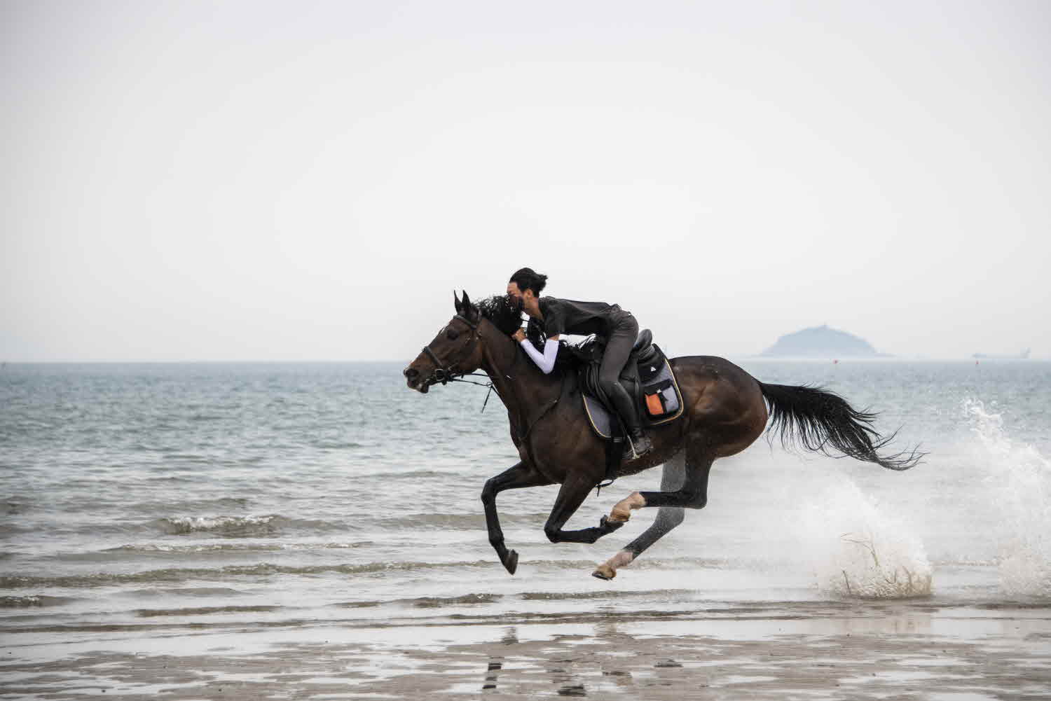 질주 썸네일