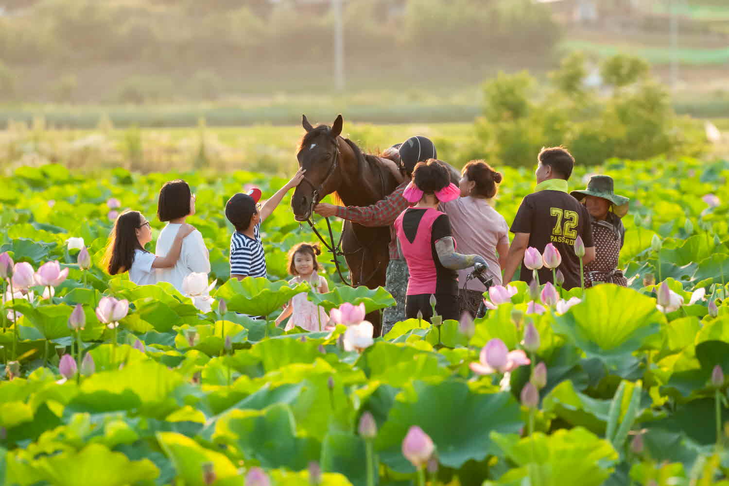 연꽃길 산책 썸네일
